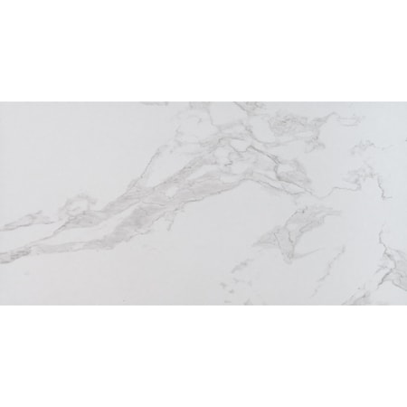 Msi Praia Carrara SAMPLE Glazed Porcelain Floor And Wall Tile ZOR-PT-0578-SAM